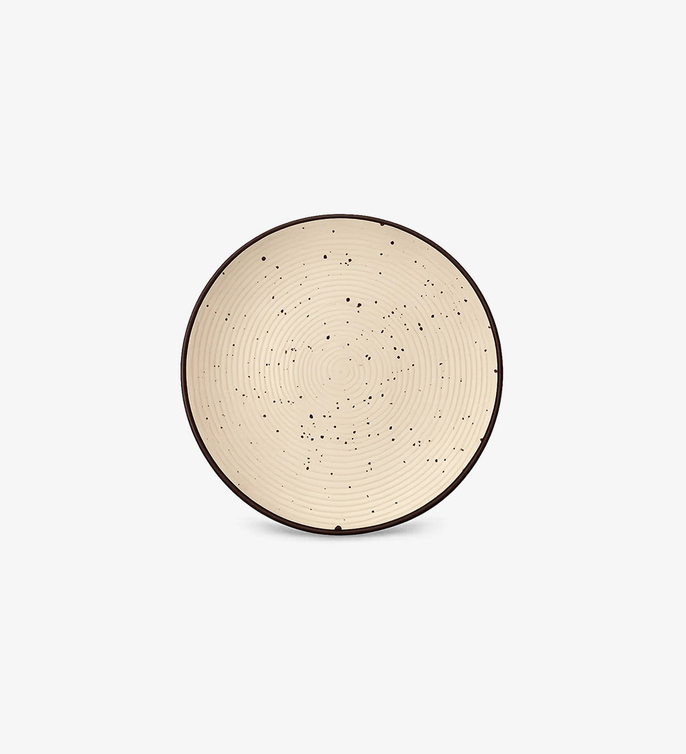 Speckled Ceramic Dinnerware Set