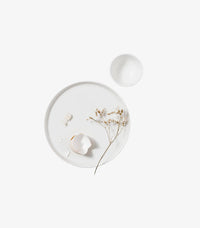 Versatile Ceramic Dinner Salad Plates Set